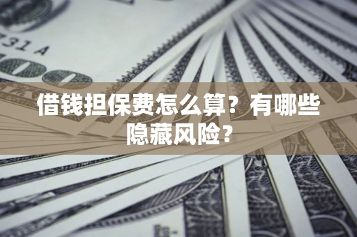 武汉借钱担保费怎么算？有哪些隐藏风险？