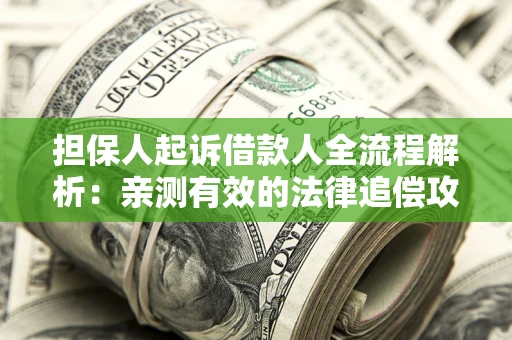 武汉担保人起诉借款人全流程解析：亲测有效的法律追偿攻略