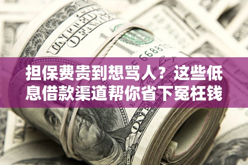 武汉担保费贵到想骂人？这些低息借款渠道帮你省下冤枉钱