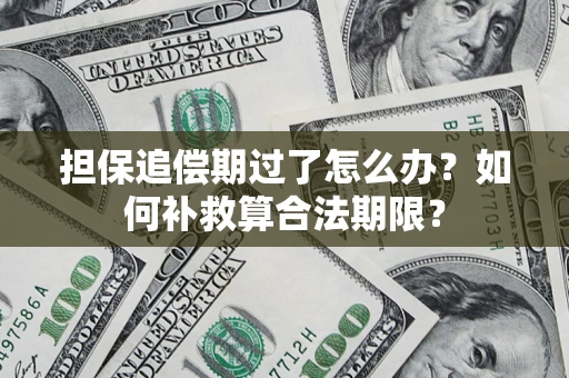 武汉担保追偿期过了怎么办？如何补救算合法期限？