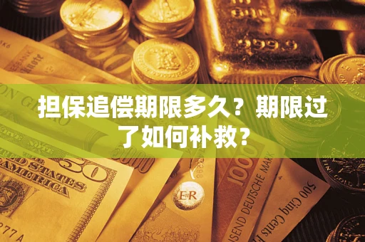 武汉担保追偿期限多久？期限过了如何补救？
