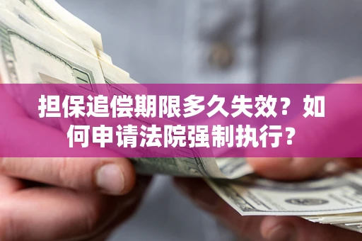 武汉担保追偿期限多久失效？如何申请法院强制执行？