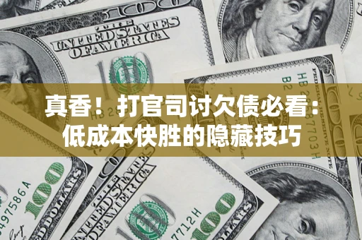 武汉真香！打官司讨欠债必看：低成本快胜的隐藏技巧