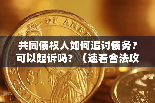 武汉共同债权人如何追讨债务？可以起诉吗？（速看合法攻略）