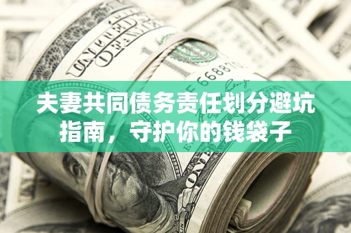武汉夫妻共同债务责任划分避坑指南，守护你的钱袋子