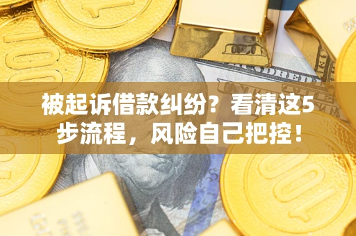 武汉被起诉借款纠纷？看清这5步流程，风险自己把控！