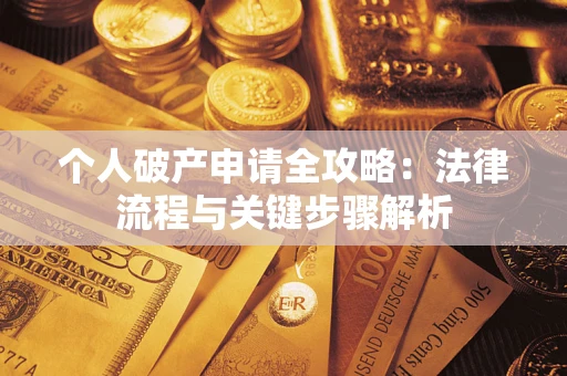 武汉个人破产申请全攻略：法律流程与关键步骤解析