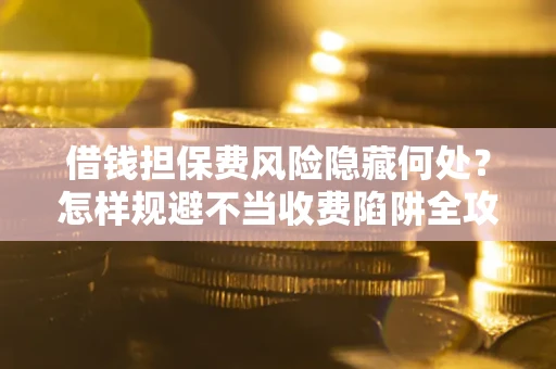 武汉借钱担保费风险隐藏何处？怎样规避不当收费陷阱全攻略！