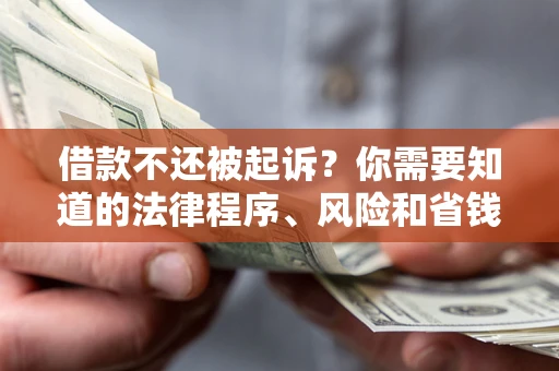 武汉借款不还被起诉？你需要知道的法律程序、风险和省钱技巧